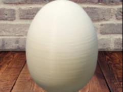 Egg