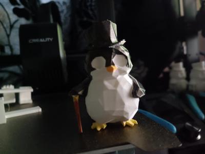 Fancy Penguin