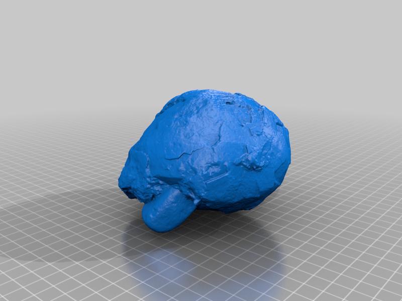 Hadrosauridae Sp. Egg