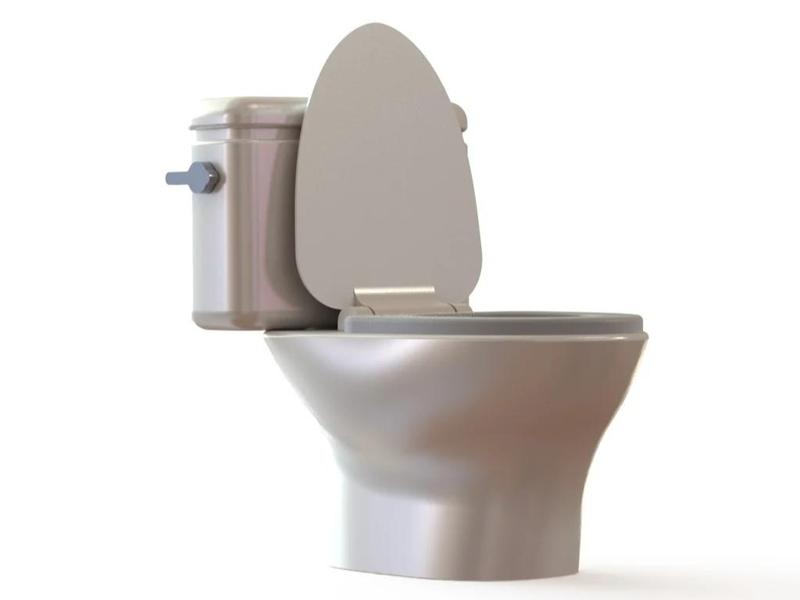 Toilet Poop Bucket