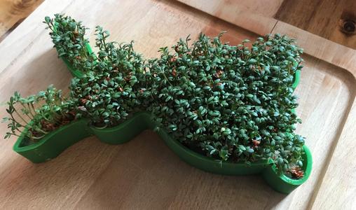 Easter Planter