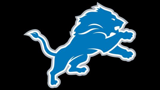 Detroit Lions Straw Dryer