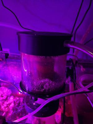 Recirculating CO2 Skimmer Lid for Reef Octopus 150 Series