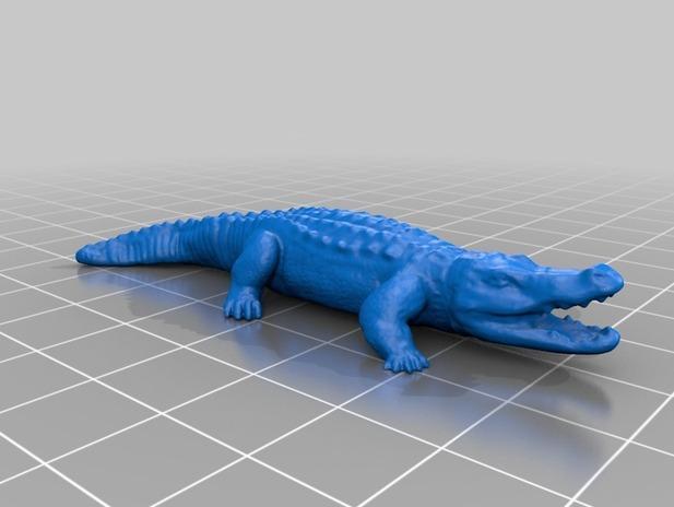 crocodile