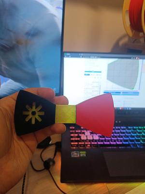 Erasmus Student Network Ribbon