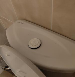 Bouton-poussoir chasse d'eau avec joint