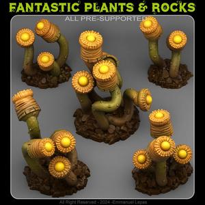 LUMINOUS PLANTS