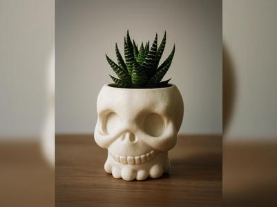 Creepy Cute Skull Planter