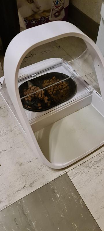 Cat food tray for SureFeed automatic cat feeder