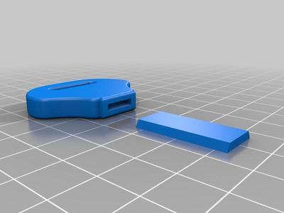 Kawasaki key fob