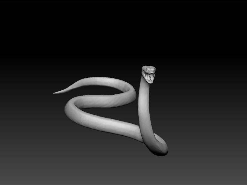 Anaconda snake