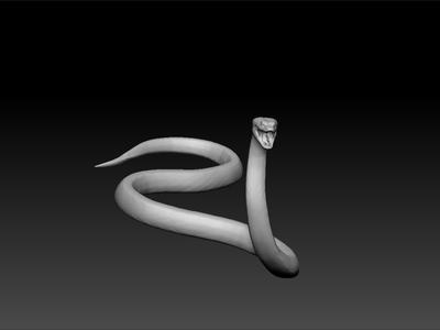 Anaconda snake
