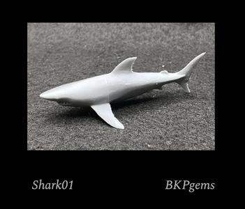 Shark 01