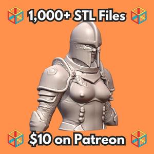 Quarter Scale Lady Knight in Plate Armor Bust for Collection MineeForm FDM 3D Print STL File