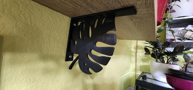 Monstera bracket