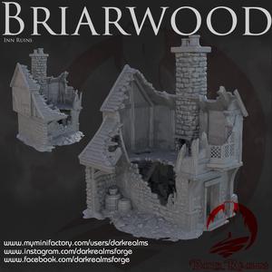 Dark Realms - Briarwood - House 5 Ruin