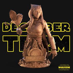 Ahsoka Bust - Star Wars 3D Models - Tested and Ready for 3D printing