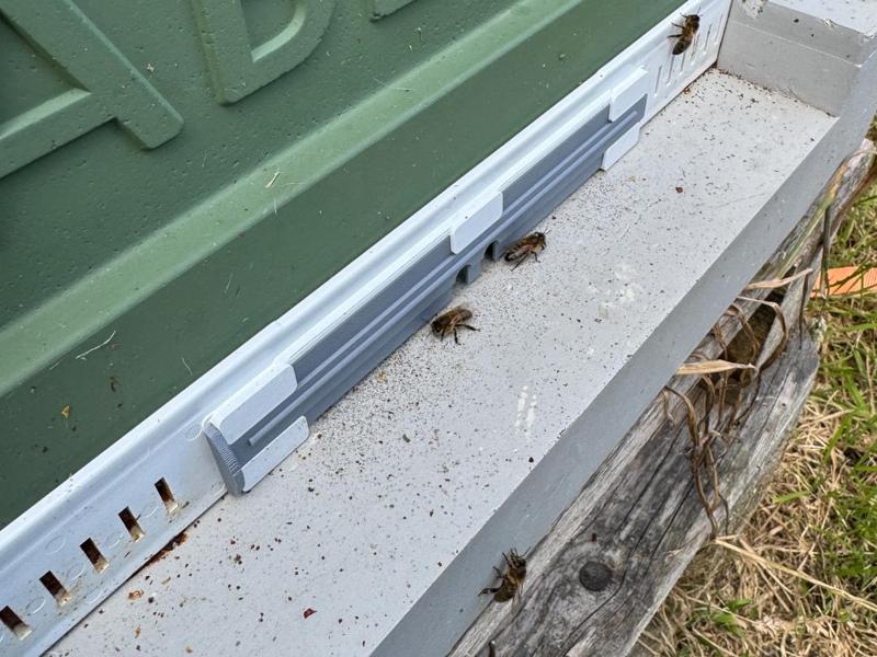 Abelo Bee Hive Entrance Reducer