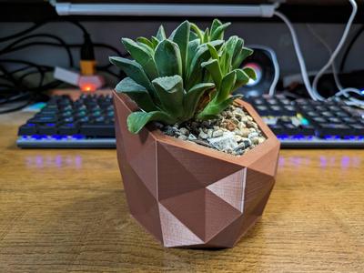 Bevel Geometric Shape-Succulent Plant Pot Design