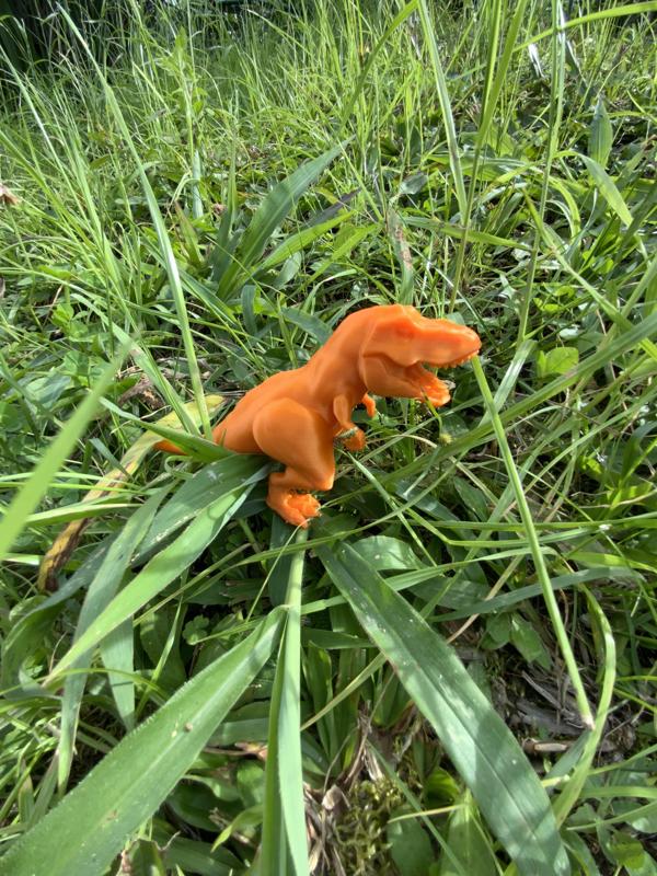 T Rex toy