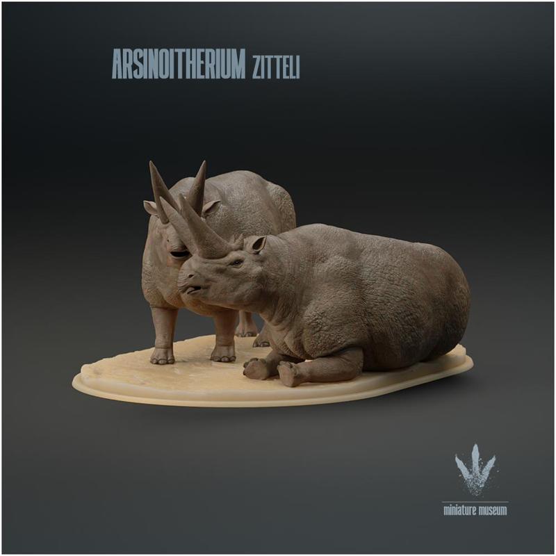Arsinoitherium zitteli : Couple