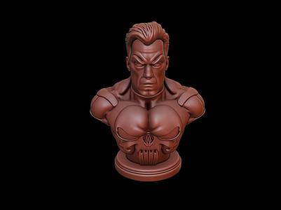 Punisher Bust