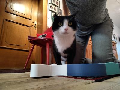 Modular Cat track - splits