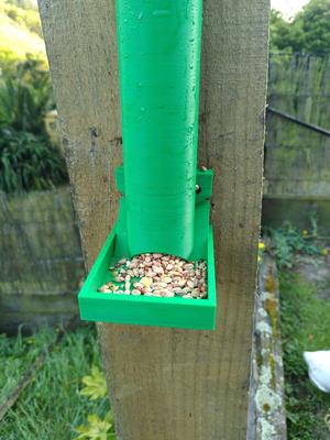 bird feeder