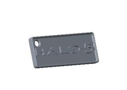 Halo 5 Key fob