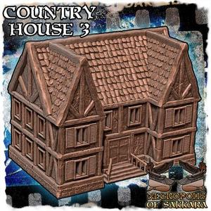 Fantasy and Medieval Country House 3