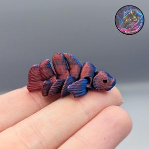 Flexi Nano Beta Fish