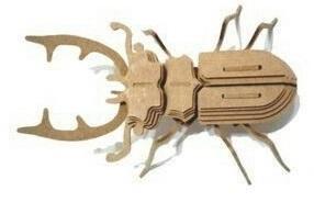 Beetle 3D