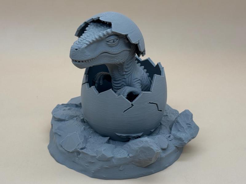 Hatched Baby Dinosaur