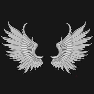 wings