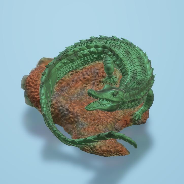 Crocodile on rock 🐊