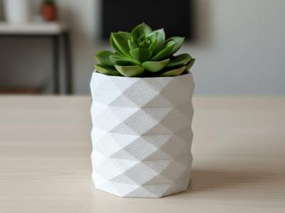 Organizer / Flower pot modern design