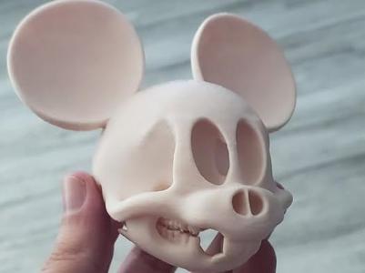 Mouse skull