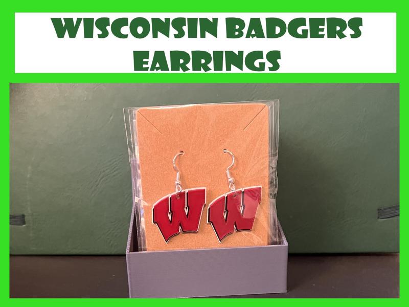Universities of Wisconsin - Earrings 