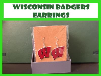 Universities of Wisconsin - Earrings 