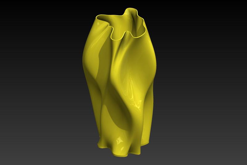 CURVILINEAR VASE
