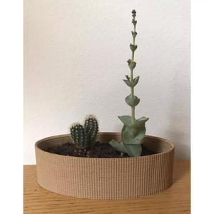 Landy vase - Striped 10