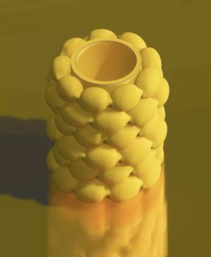 Vase with lemons