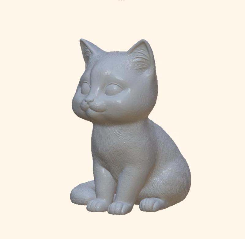 Kitten Sitting-Sitting Kitten