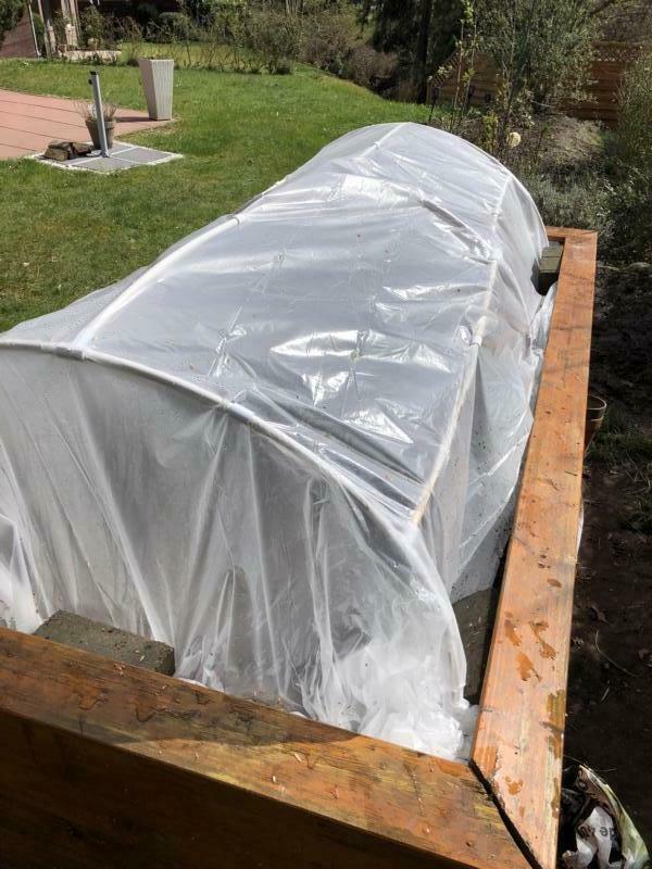 Gewächshaus / Greenhouse/ Treibhaus / Hochbeet