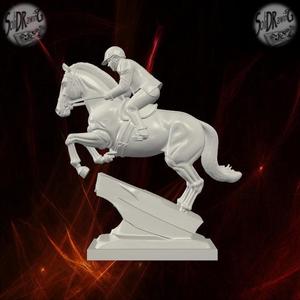 Equestrian Show Jumper on Rock – SoliDRawinGs SG897