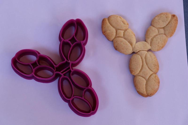 Antibody IgG Cookie Cutter
