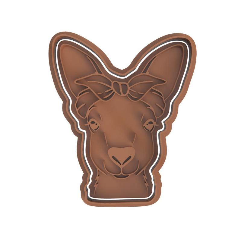 Australia Day Cookie V5