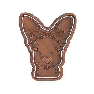 Australia Day Cookie V5