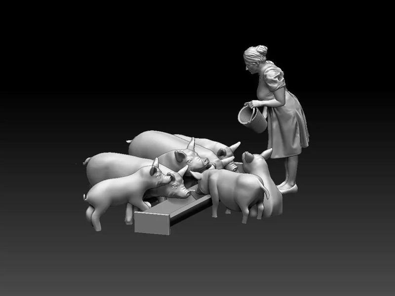 woman and pigs