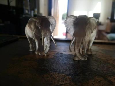 elephant with bloody tusks